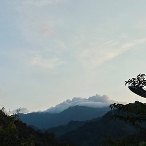 那年夏末的迷彩信