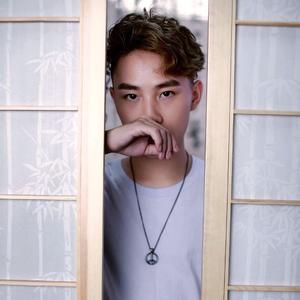 如果有来生（抖音完整版）（翻自 谭维维）（翻自 谭维维）