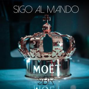 SIGO AL MANDO