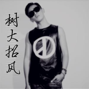 树大招风（Prod By 张杰峻）