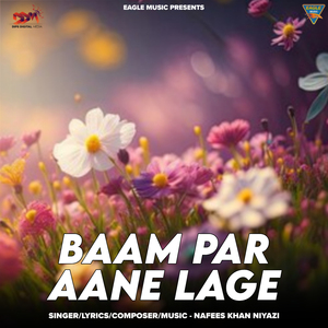 BAAM PAR AANE LAGE