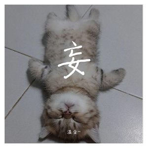 小流星（翻自 汪苏泷）