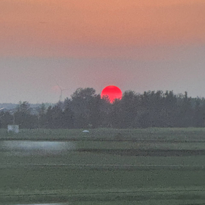 《悬而未决终有好结果》