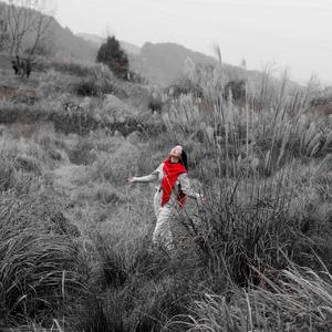 晚婚（翻自 谭维维）