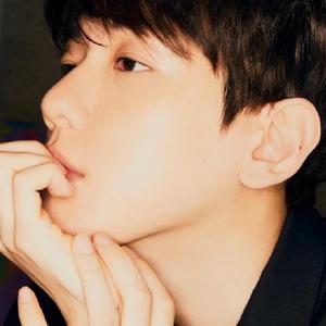 Bambi（翻自 伯贤）