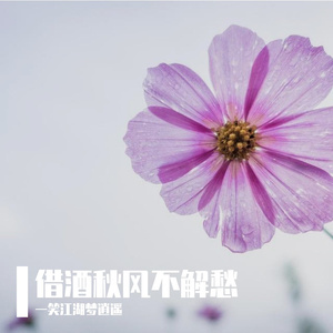 借酒秋风不解愁