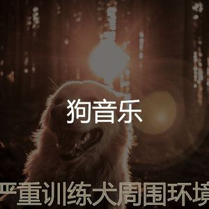 温和狗梦想