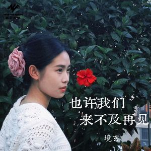 也许我们来不及再见