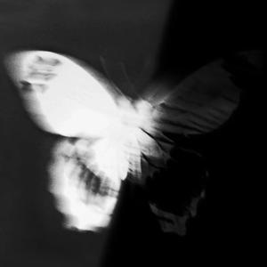 骰子（cover：马赫/杜逸风）