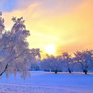 冬日的太阳也热 (1)