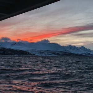 如果我还记得你