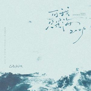 可我只是海 (DJ阿智版)