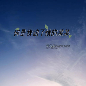 你是我动了情的某某 (DJ阿本版)