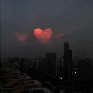 椿（cover沈以诚）