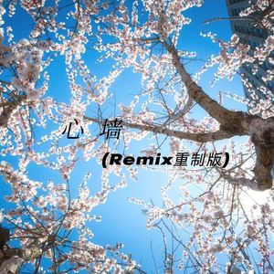心墙（Remix重制版)