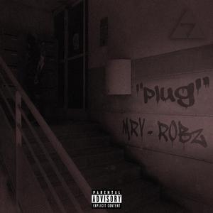 PLUG (feat. ROBZ)