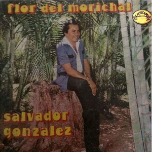 Tu Amor Fue Una Ilusión