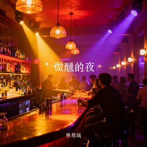 微醺的夜