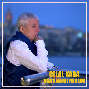 Dayanamıyorum