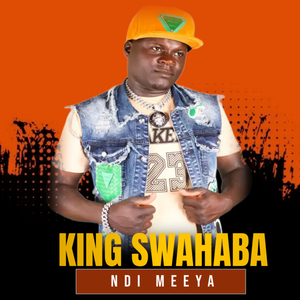 Ndi Meeya