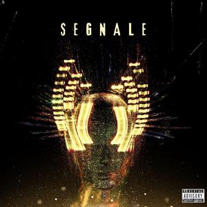 Segnale