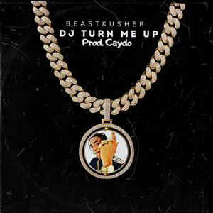 Dj Turn Me Up