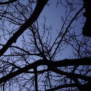 你爱的人不是我