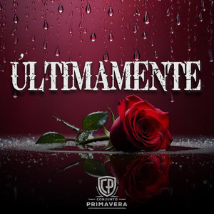 Ultimamente