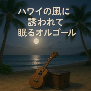 ハレアカラの朝日に包まれて