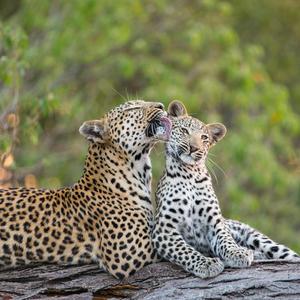 How good are we together