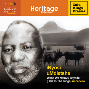 iNgonyama uCetshwayo