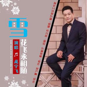 雪花飞永相随-龙宇飞