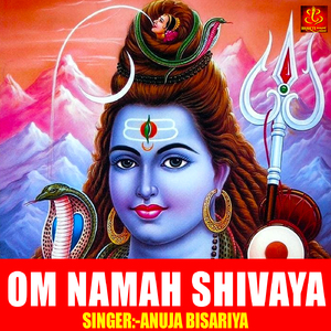 Om Namah Shivaya
