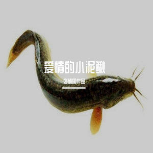 爱情的小泥鳅(男版)