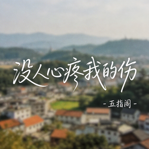 没人心疼我的伤（抖音热播版）