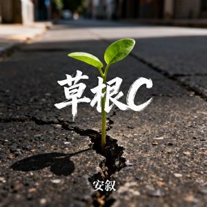 草根C
