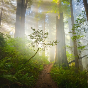 【Free】 “山的中间风的裙边” Guitar x Toosii Type Beat