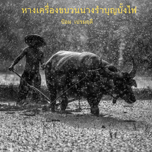 หางเครื่องขบวนนางรำบุญบั้งไฟ