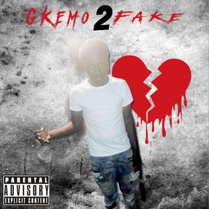 2Fake