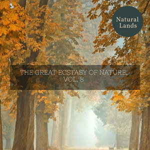 Anxious Coniferous Night