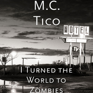 I Turned the World to Zombies