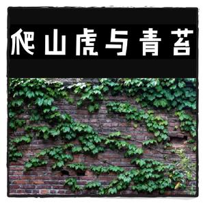 爬山虎和青苔