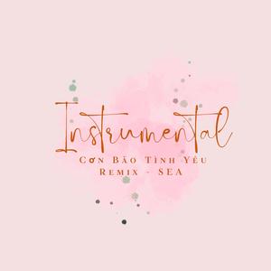 Cơn Bão Tình Yêu SEA (Wordless)