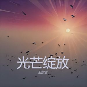 光芒绽放