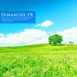 Chopin: Piano Sonata No.2 In B Flat Major Op.35 - II. Scherzo