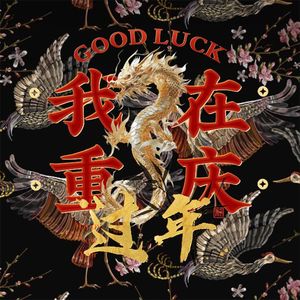 我在重庆城过年