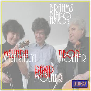 Brahms: Piano Trio No. 2 in C-Major, Op. 87: III. Scherzo. Presto-Poco Meno Presto