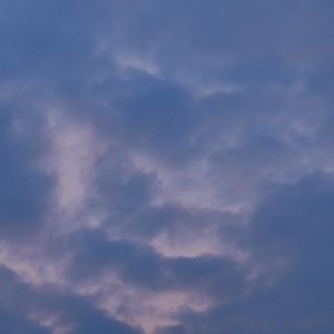 不会再说自大的话