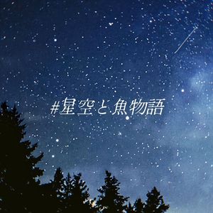 星星的回应
