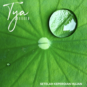 Setelah Kepergian Hujan